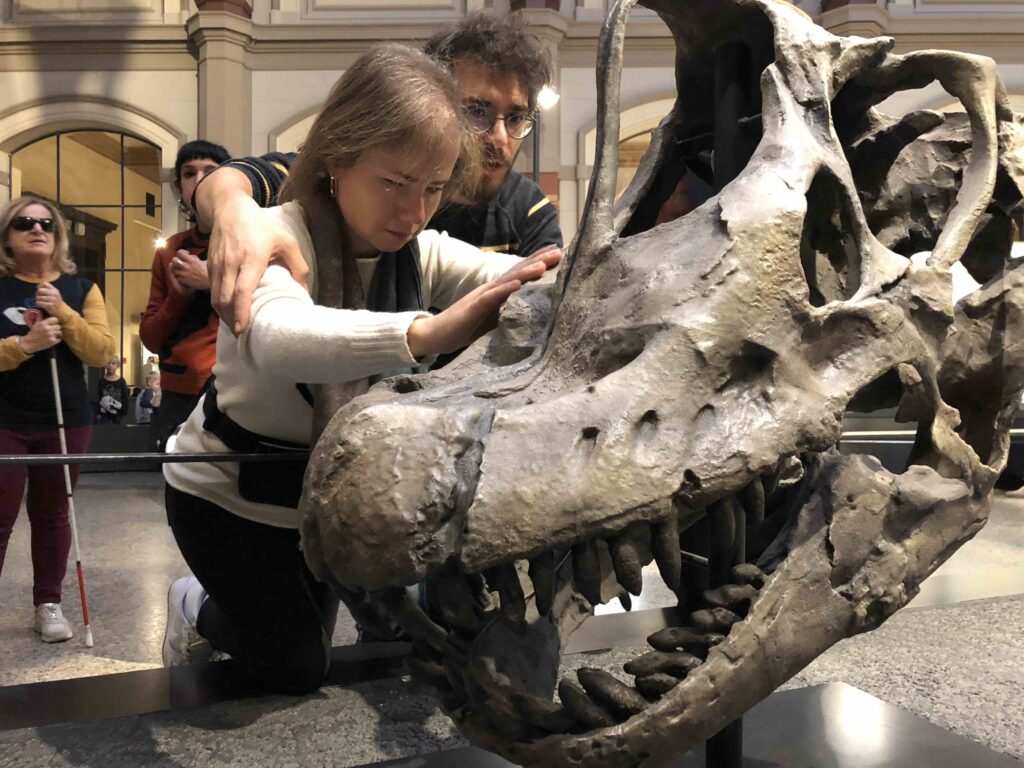 Un accompagnatore assiste una viaggiatrice mentre tocca un grande cranio di brachiosauro al Museo di Scienze Naturali a Berlino.