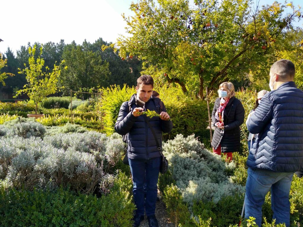 Alcuni viaggiatori tra le basse siepi di erbe medicinali del Giardino dei Semplici di Mantova, uno di loro intento nell'annusare un ramoscello.