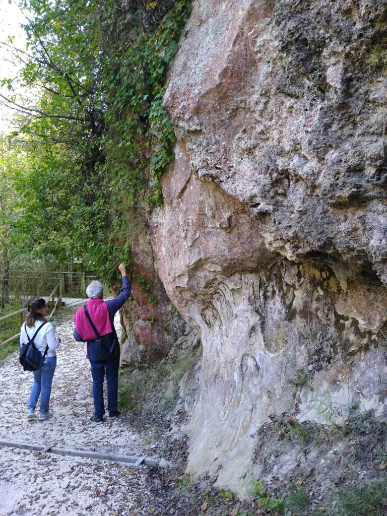 Due persone di spalle su un sentiero, sotto ad un'alta e frastagliata parete di arenaria. La persona sulla destra allunga la mano per toccare una pianta rampicante che cresce sulla roccia.